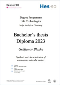 Grkljanov Blazhe_rapportFInal.pdf